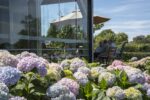 bed-and-breakfast-rosmalen-terras-hortensiatuin-romantisch-weekend-weg