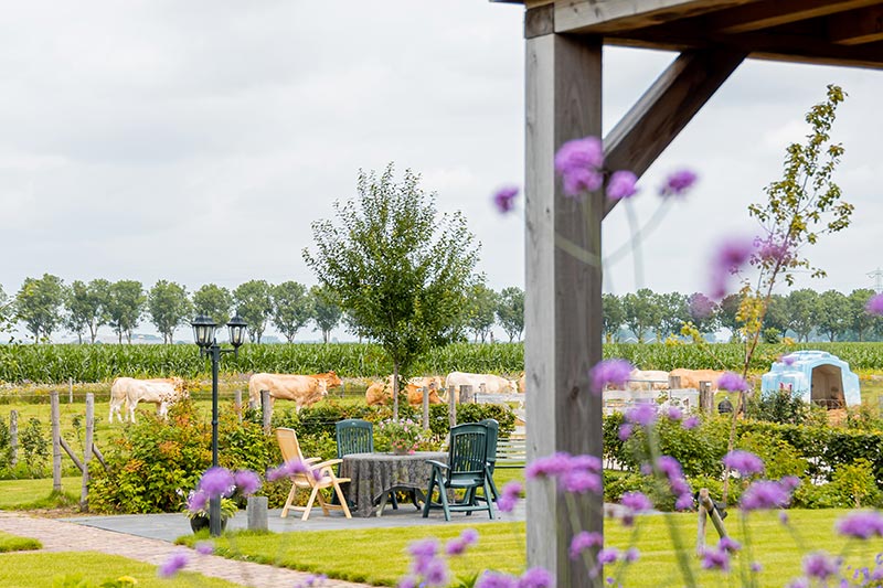 bed-and-breakfast_in-ons-straatje_uitzicht-koeien